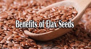 Benefits of Flax Seeds