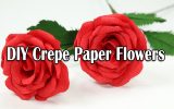 Crepe Paper Flowers